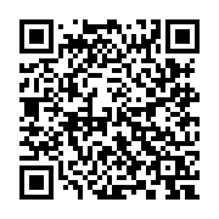 QR code for 393 HOR