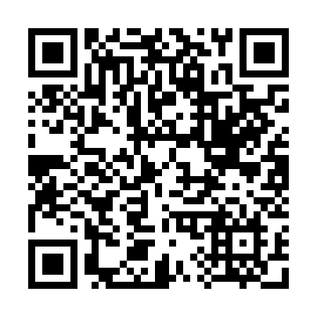 QR code for 393 NCN
