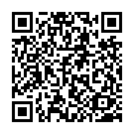 QR code for 393 NVX