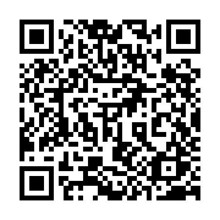 QR code for 393 QJS
