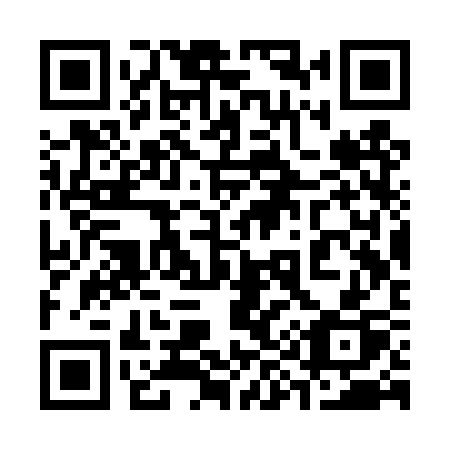 QR code for 393 TSP