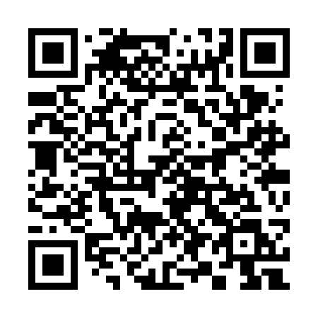 QR code for 393 VCL