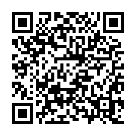 QR code for 393 XLJ