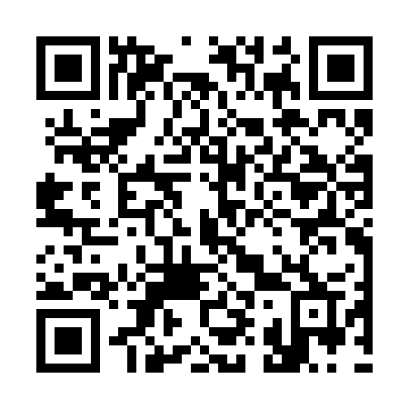 QR code for 393BGR