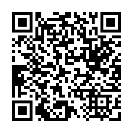 QR code for plate 393 BNC