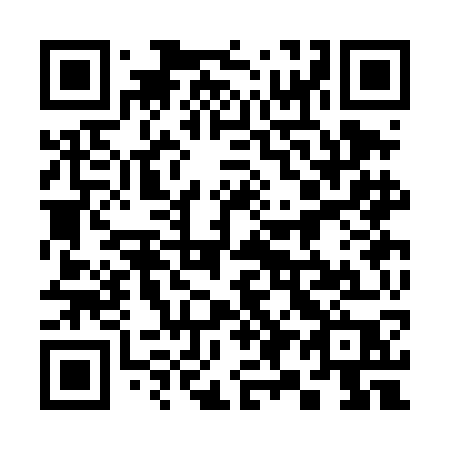 QR code for 393DGP