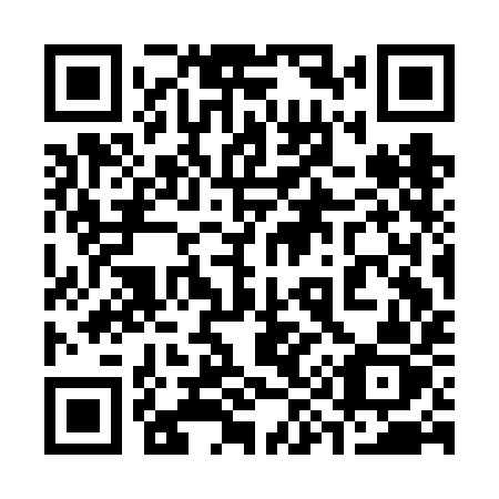 QR code for 393FIZ