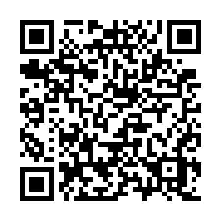 QR code for plate 393 GDZ