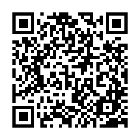 QR code for plate 393 KLL