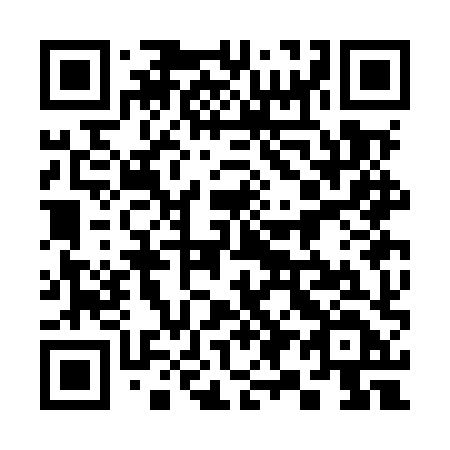 QR code for 393MXD