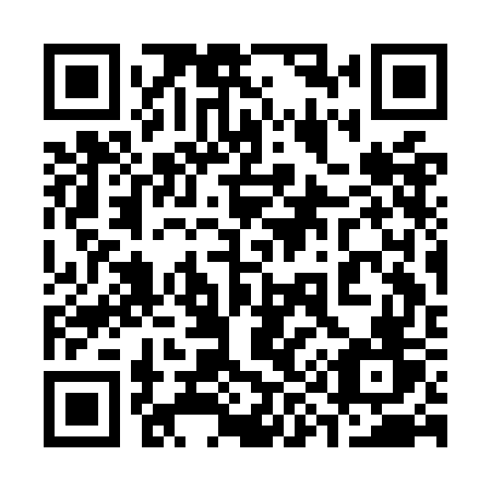 QR code for plate 393 OGV
