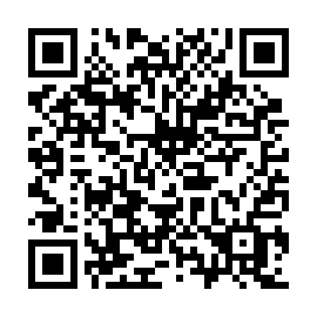 QR code for 393RAF