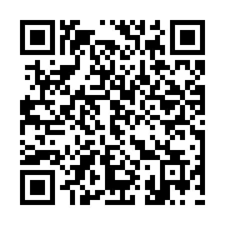 QR code for plate 393 RVS