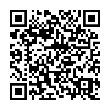 QR code for plate 393 YZQ