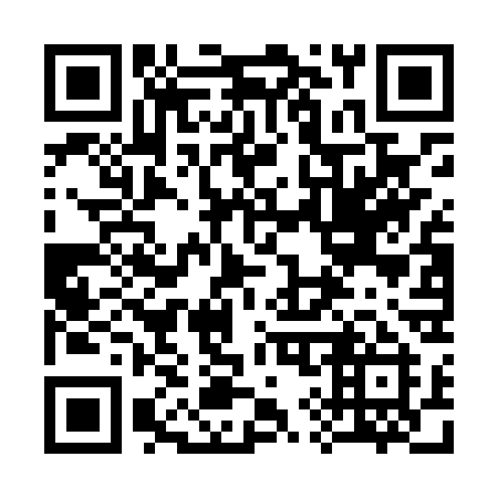 QR code for 394 LSI
