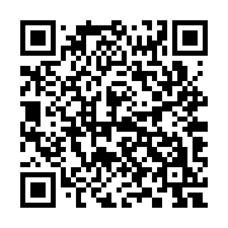 QR code for 394 SYO