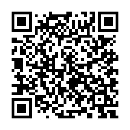 QR code for 394NMN
