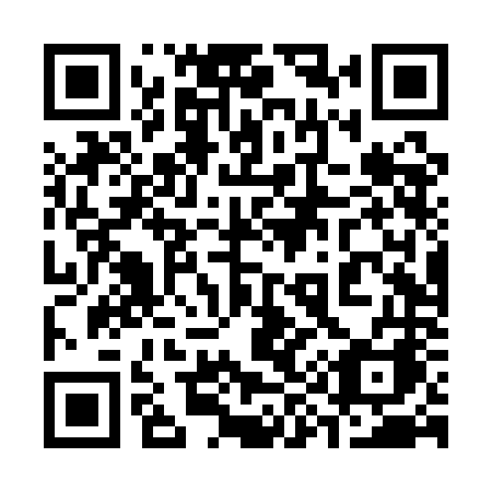QR code for plate 394 QNA