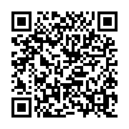 QR code for 395IIL
