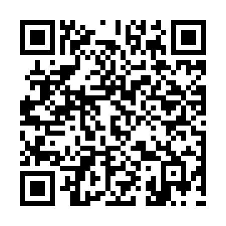 QR code for plate 396 YIB