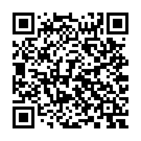 QR code for 397 PZH