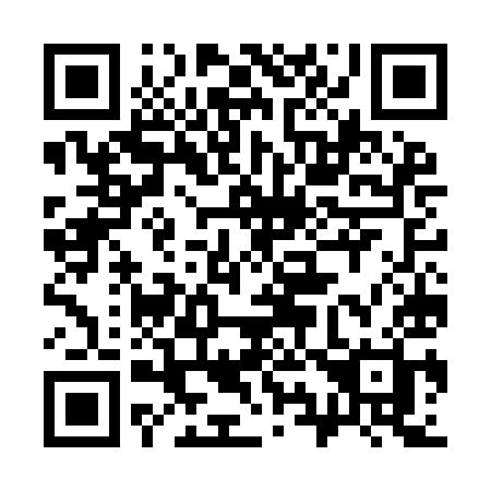 QR code for plate 397 IIH