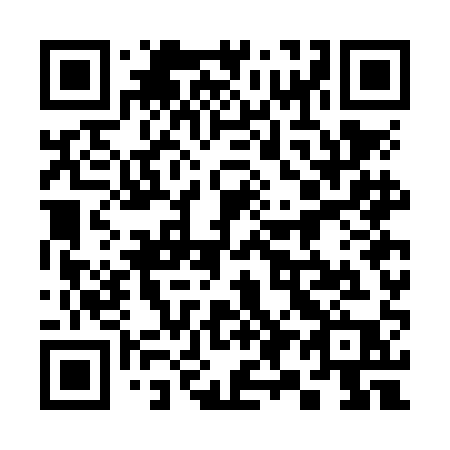 QR code for 397NAP