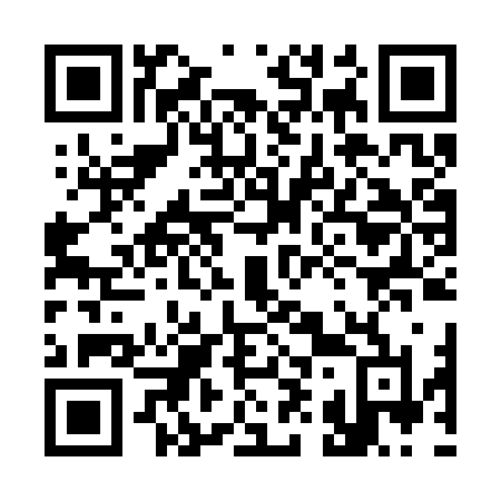 QR code for 398 CZL