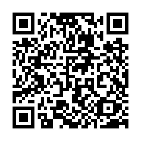 QR code for 398 GZY