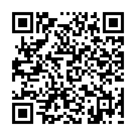 QR code for 398 IVZ