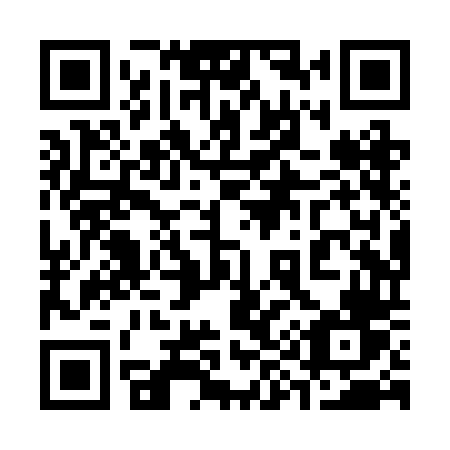 QR code for plate 398 RDV