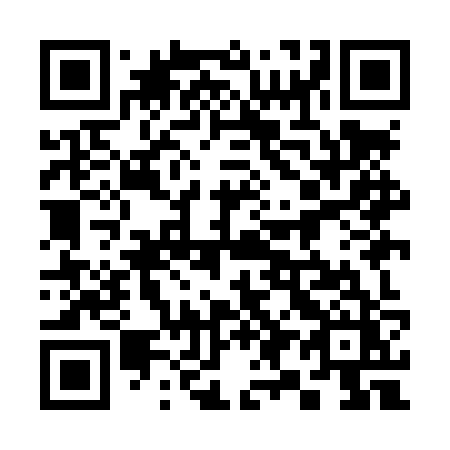 QR code for 399 LZZ