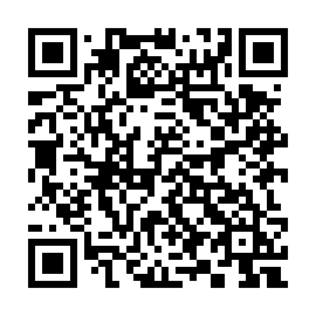 QR code for plate 399 DZJ