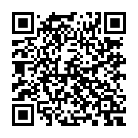 QR code for plate 399 LFL