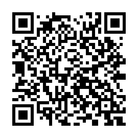 QR code for plate 399 RRJ