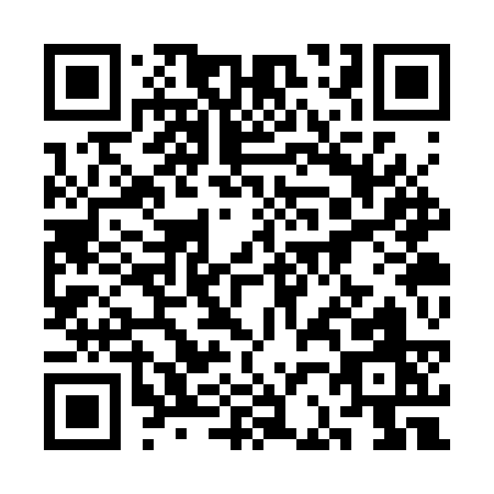 QR code for 3B3SS