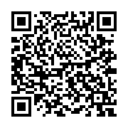 QR code for 401 PIS