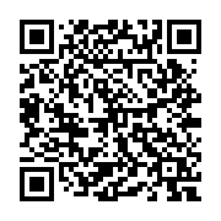 QR code for plate 401 RUR
