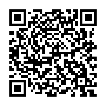 QR code for 407 ICO