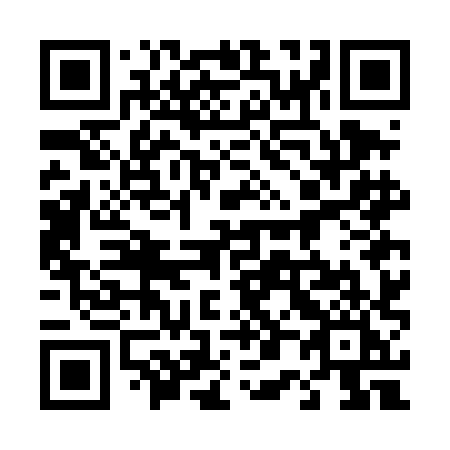 QR code for plate 407 DHI