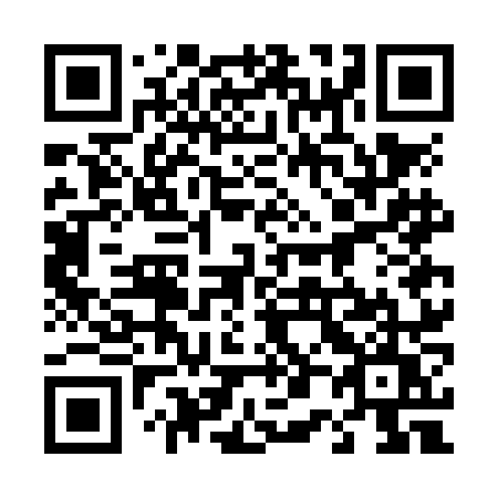 QR code for plate 407 NNU