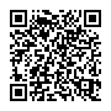 QR code for plate 410 LIQ