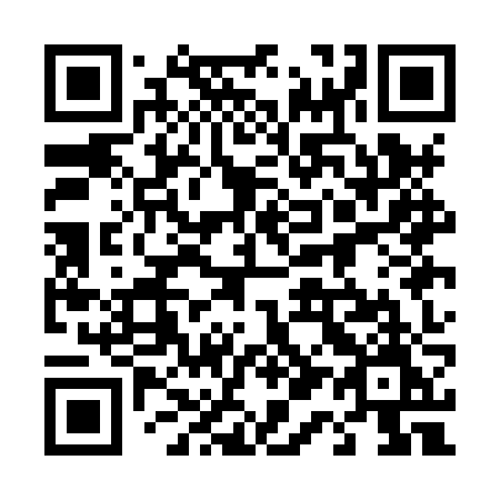 QR code for 411 HZM