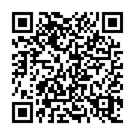 QR code for 411 QQX