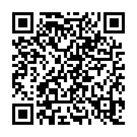 QR code for 411 QZJ