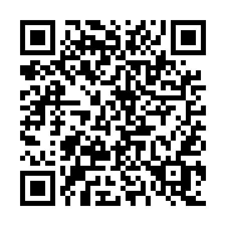 QR code for 411 UEF