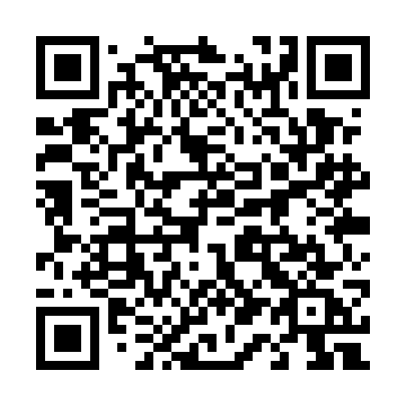 QR code for 411 UGC