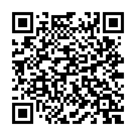 QR code for 411 VPL