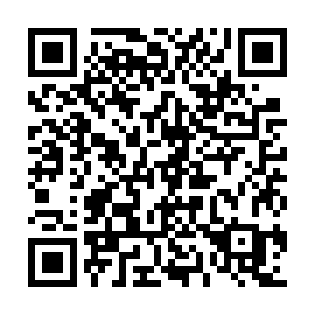 QR code for 411 VZC