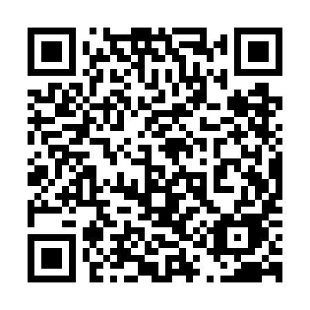 QR code for 411 WIE